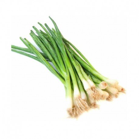 Fresh Organic Onions