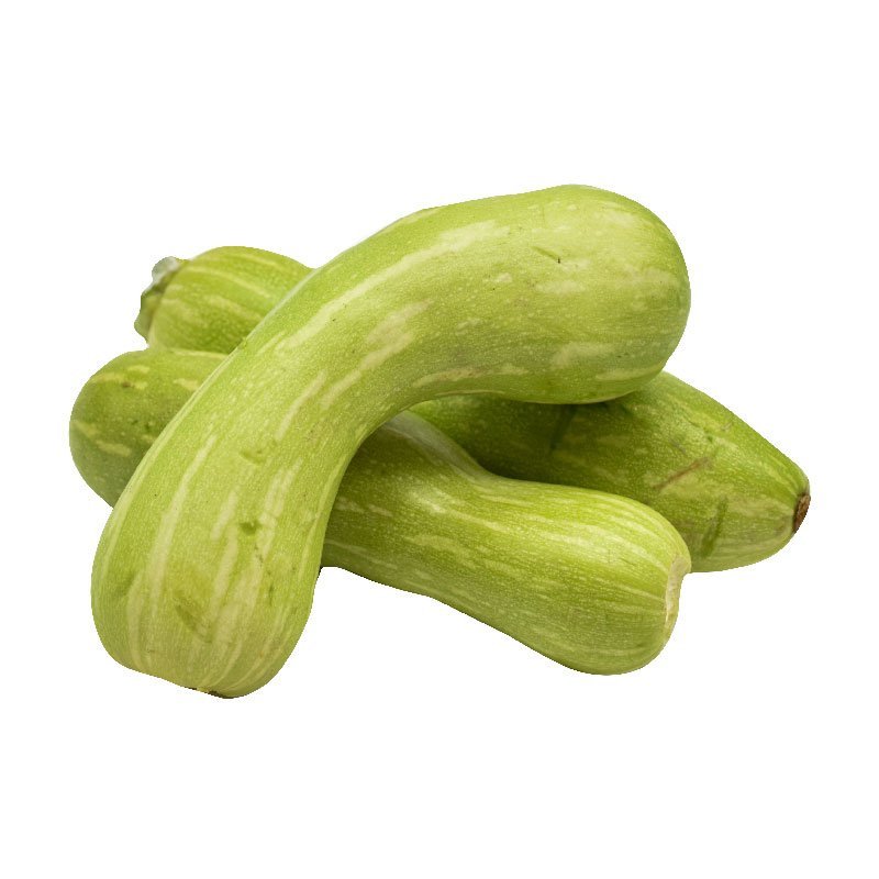 Organic White Zucchini